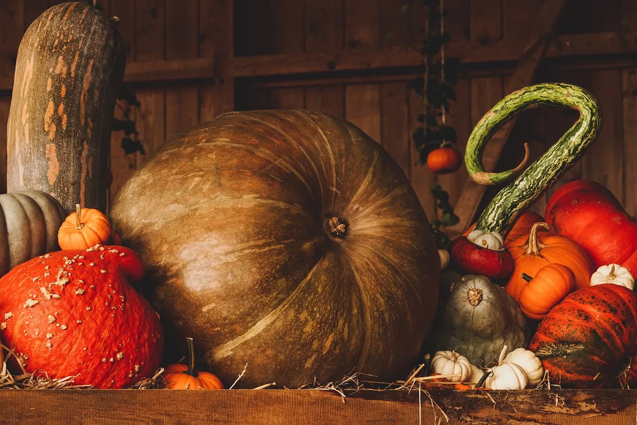 The Sense of Seasonal Urgency Is Real (Image Credits: Pixabay)