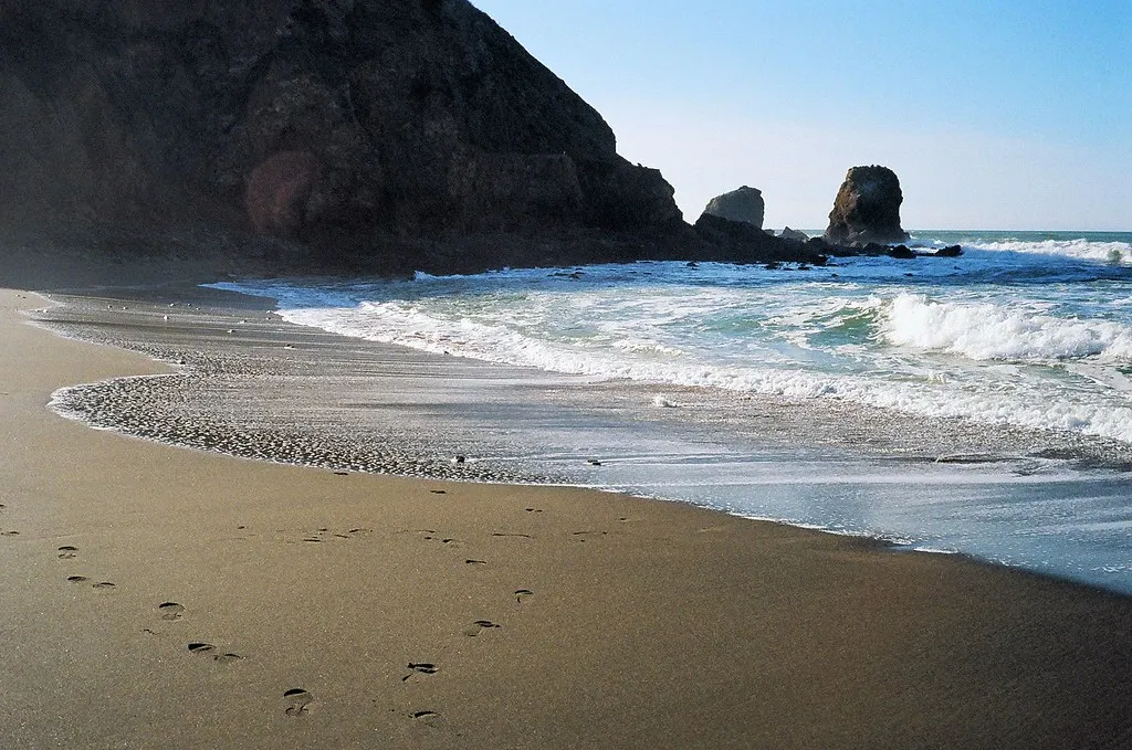 Seven Miles Of Uninterrupted Sand (Michael Fraley, Flickr, CC BY 2.0)