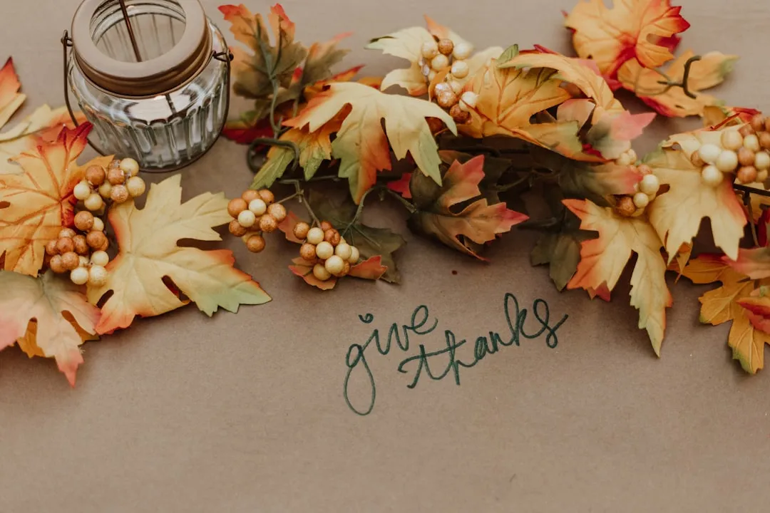 The Post-Thanksgiving Spike Is Especially Pronounced (Image Credits: Unsplash)