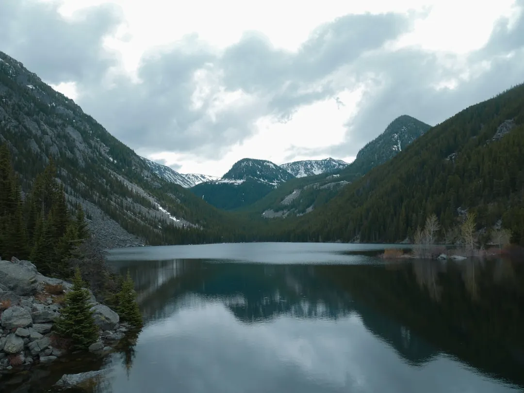 Wildlife and Wilderness Right Outside the Door (Image Credits: Unsplash)