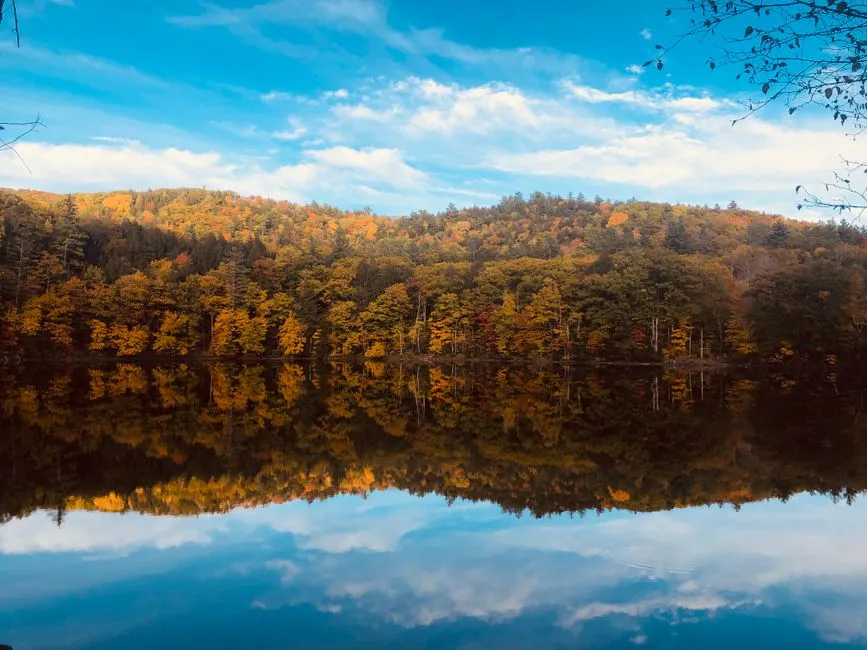 Close Enough to Return Often, Far Enough to Feel Away (Image Credits: Pexels)