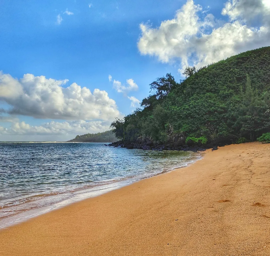 Claiming the Only Parking Spots Near the Water (Image Credits: Unsplash)