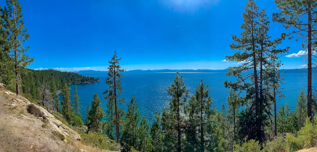 The Washoe Connection and Cultural Context (Image Credits: Unsplash)
