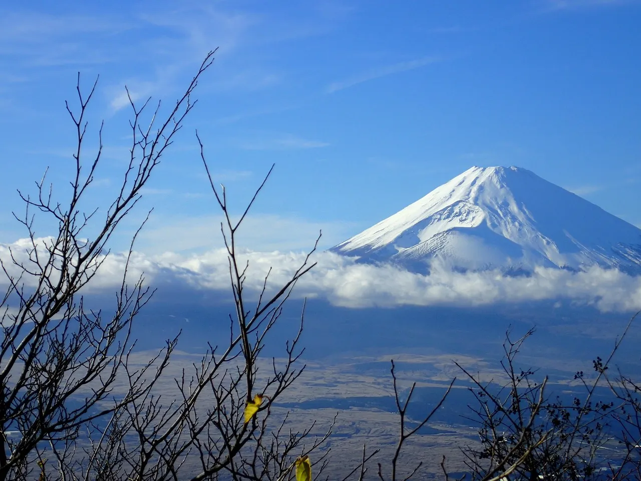 Hakone, Kanagawa: Mountains, Mist, and Fuji Views (Image Credits: Pixabay)
