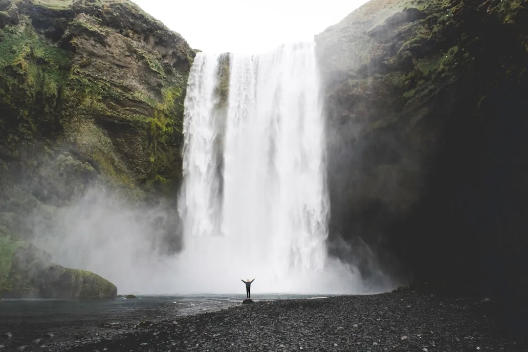 Practical Realities: Safety and Seasonal Timing (Image Credits: Unsplash)