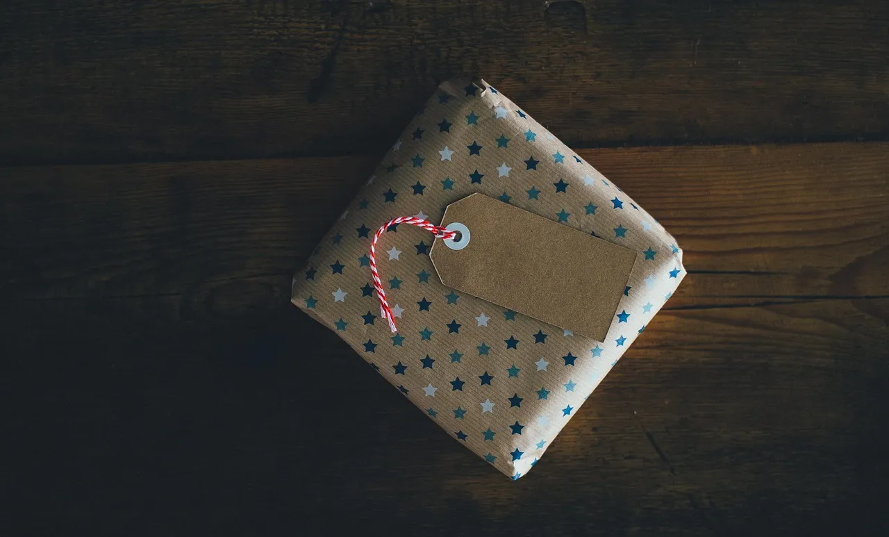 Pre-Wrapped Gifts (Image Credits: Pixabay)