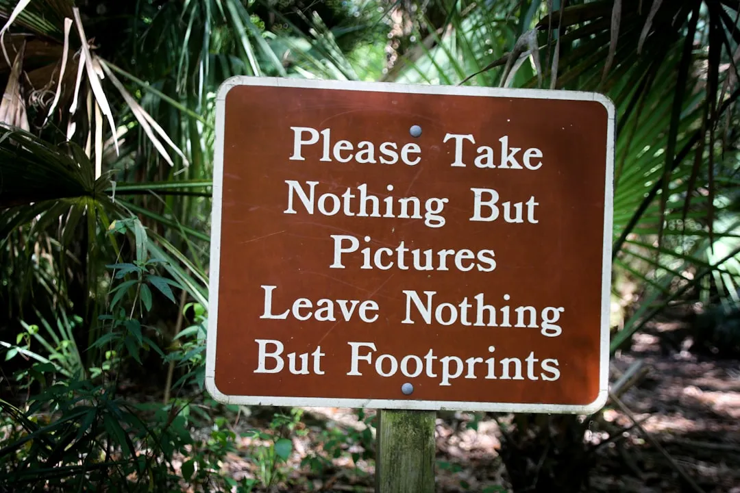 3. Know the Leave No Trace Principles Before You Go (Image Credits: Unsplash)