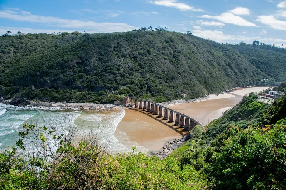 The Garden Route: Where Forest Meets Ocean (Image Credits: Pexels)