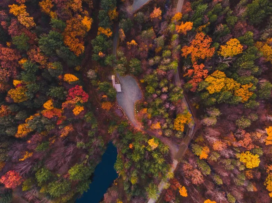 Tracking the Peak in Real Time Before You Book (Image Credits: Pexels)