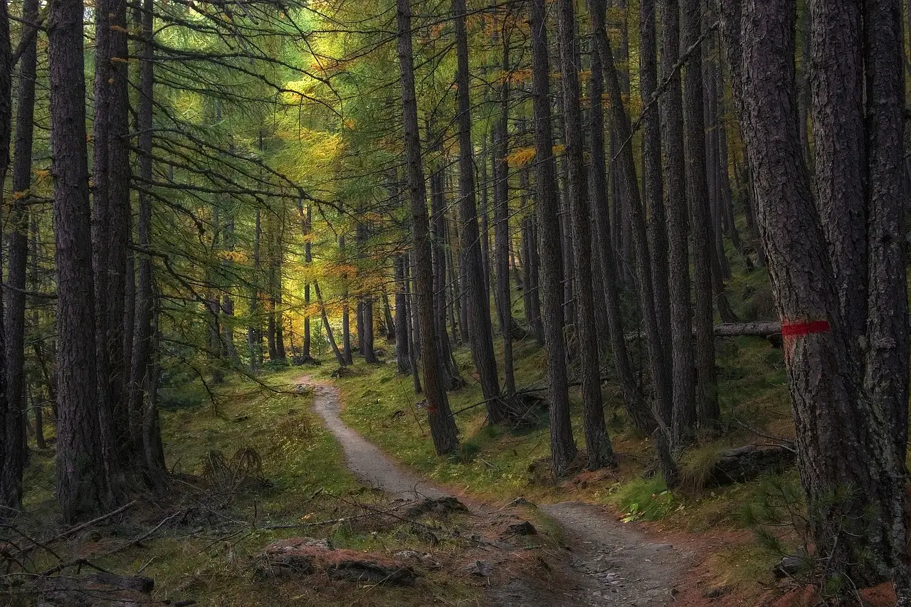 The Park Is Still Growing - And That's the Point (Image Credits: Pixabay)