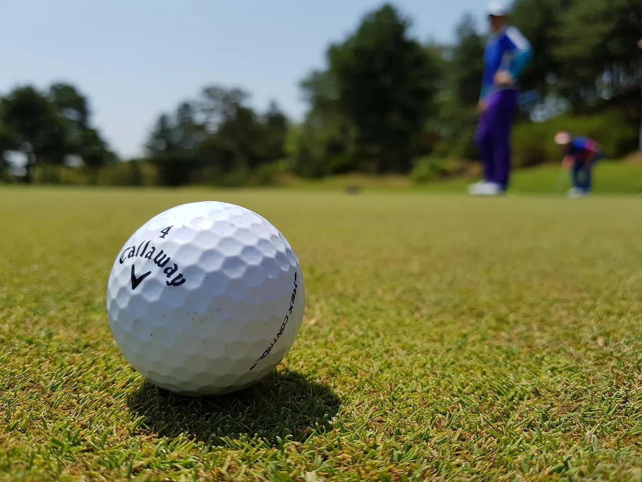 Share Your Actual Yardages, Not Your Best Ones (Image Credits: Pixabay)