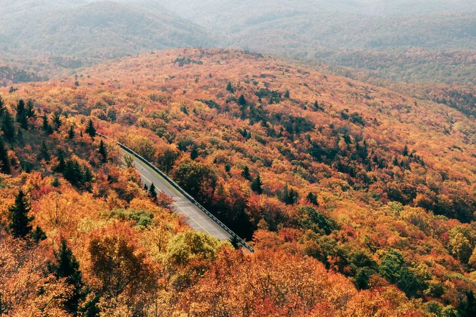 The Junior Ranger Program: Turning Driving Into Discovery (Image Credits: Pexels)