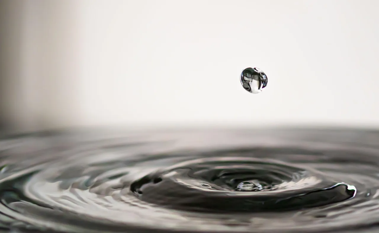 Forgetting to Follow the 3-1-1 Liquids Rule (Image Credits: Pixabay)