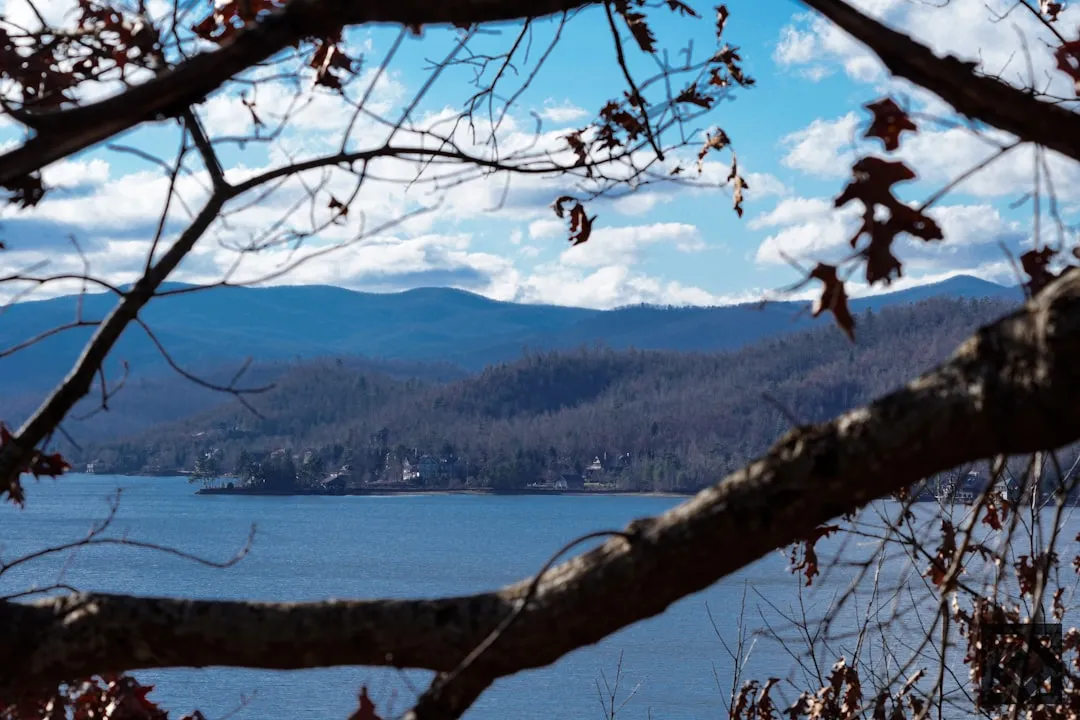Lake Blue Ridge and the Toccoa River (Image Credits: Unsplash)