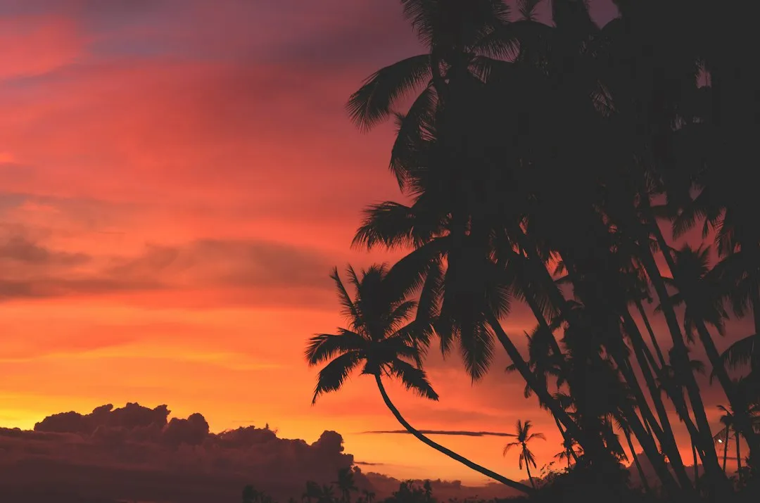 Latitude Shapes How Dramatically Sunset Times Shift Through the Year (Image Credits: Unsplash)