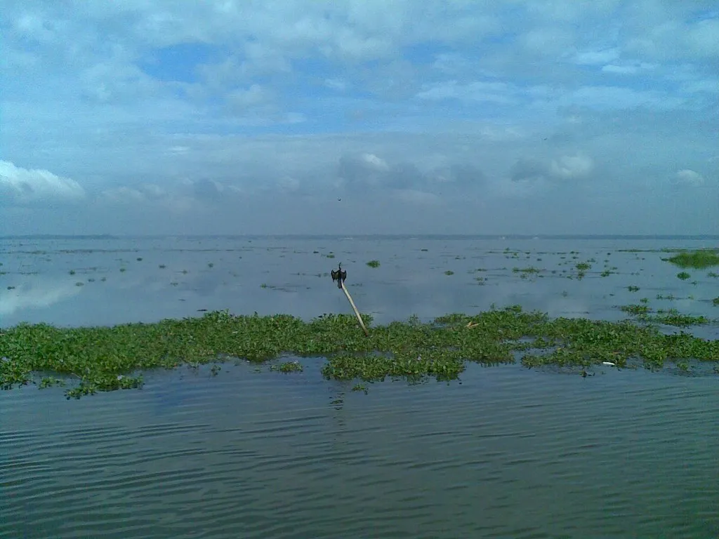 The Ecological Pressures You Should Know About (Image Credits: Flickr)