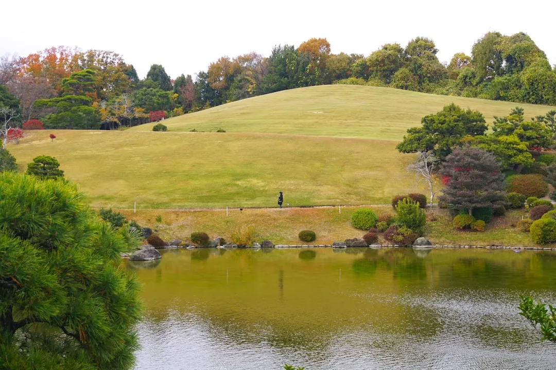 5. Okochi Sanso Villa Garden: A Hillside Garden Designed by an Artist With Seasons in Mind (Image Credits: Unsplash)