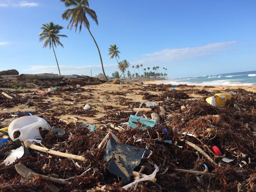 How Pollution Silences Squeaky Beaches (Image Credits: Unsplash)