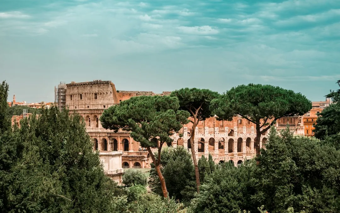 1. Italy: The "Year of Roots" Became a National Movement (Image Credits: Unsplash)