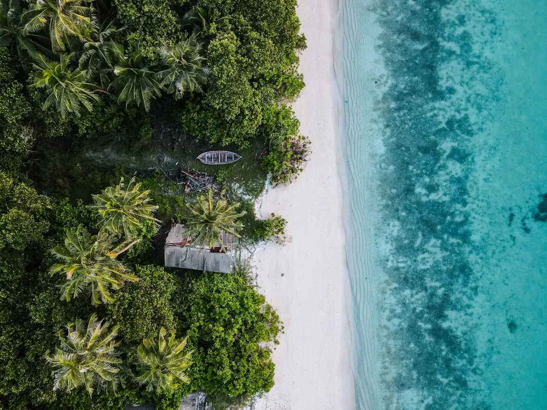 The Economic Case for a Smaller Footprint (Image Credits: Unsplash)