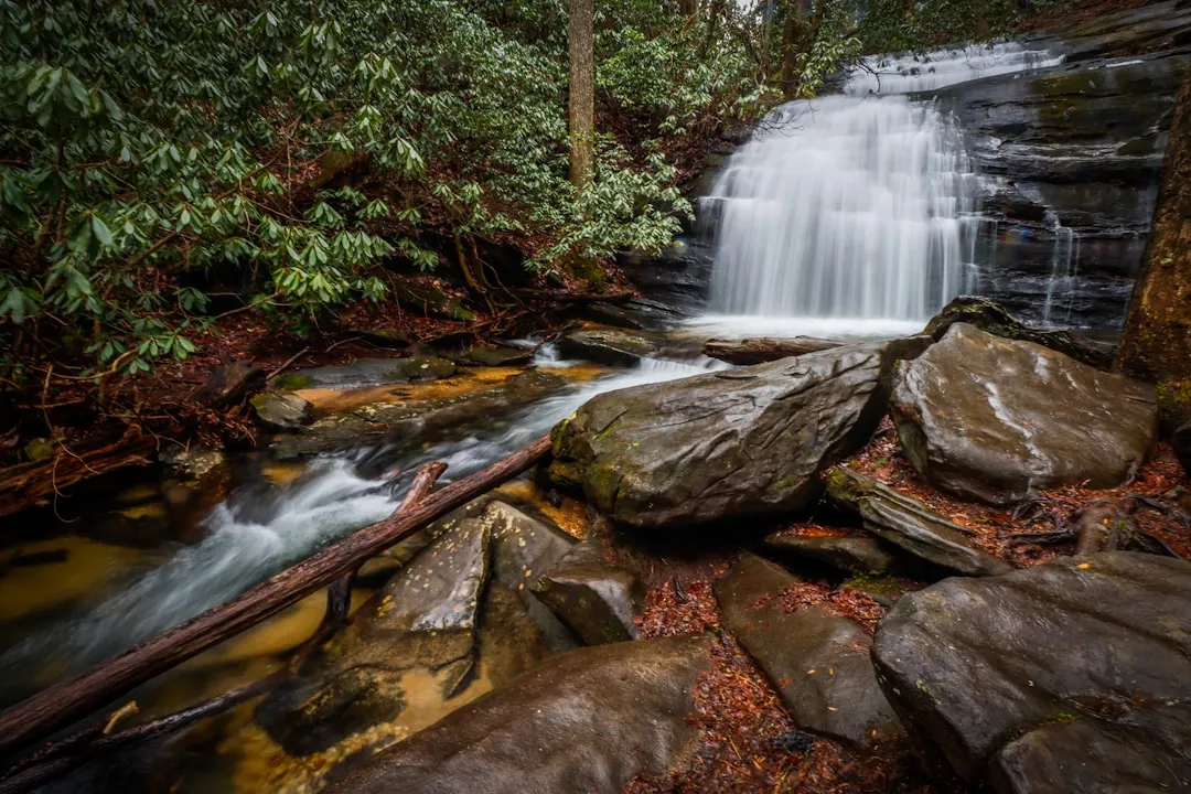 The Waterfall Itself: What to Expect (Image Credits: Unsplash)