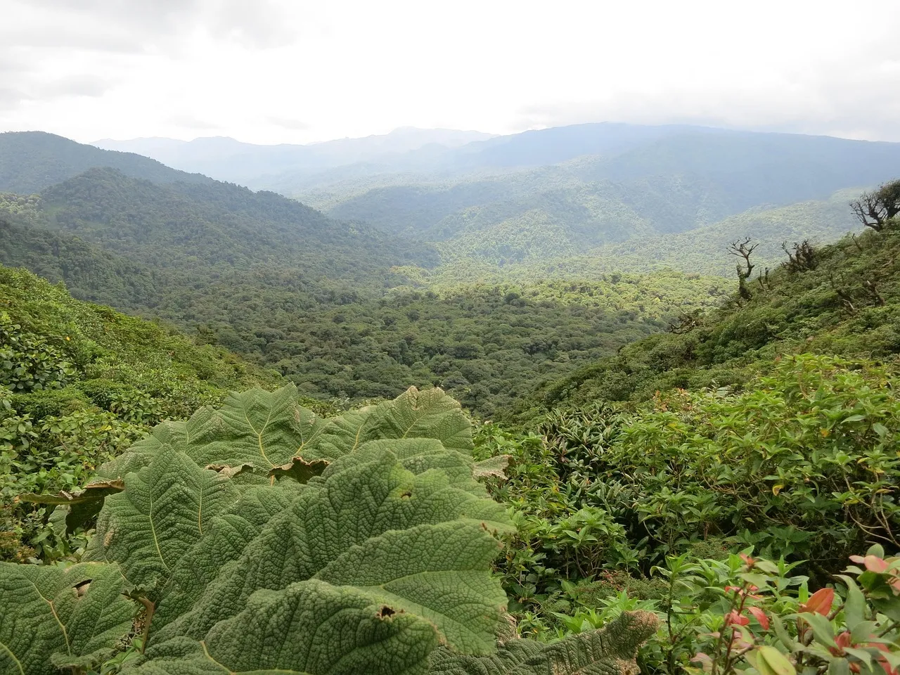 Virgo (August 23 – September 22): Costa Rica (Image Credits: Pixabay)