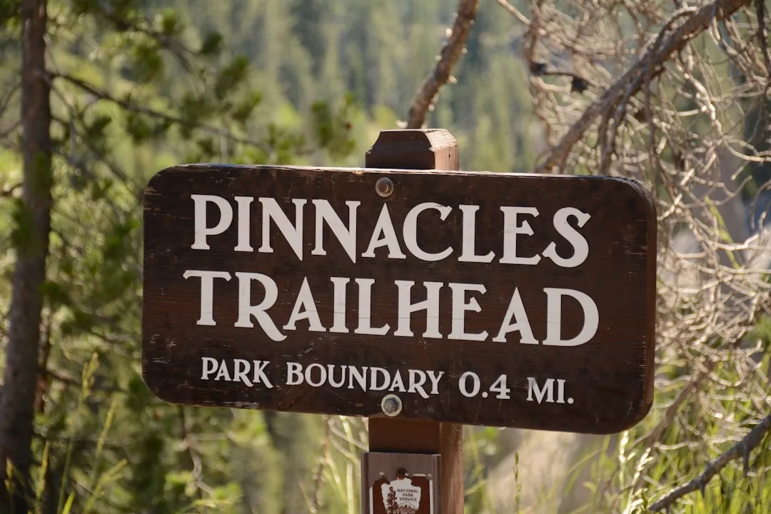 Announce the Plan Before You Leave the Trailhead (Image Credits: Unsplash)
