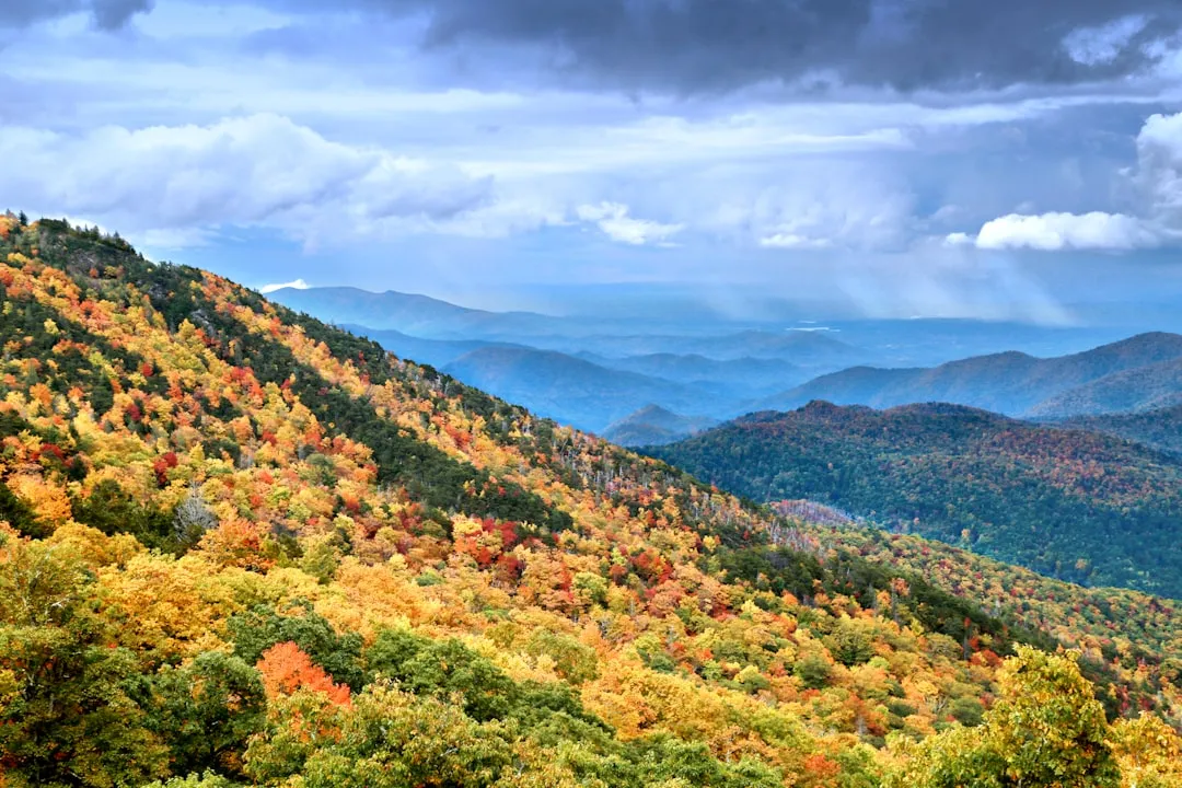 When the Colors Actually Peak (Image Credits: Unsplash)