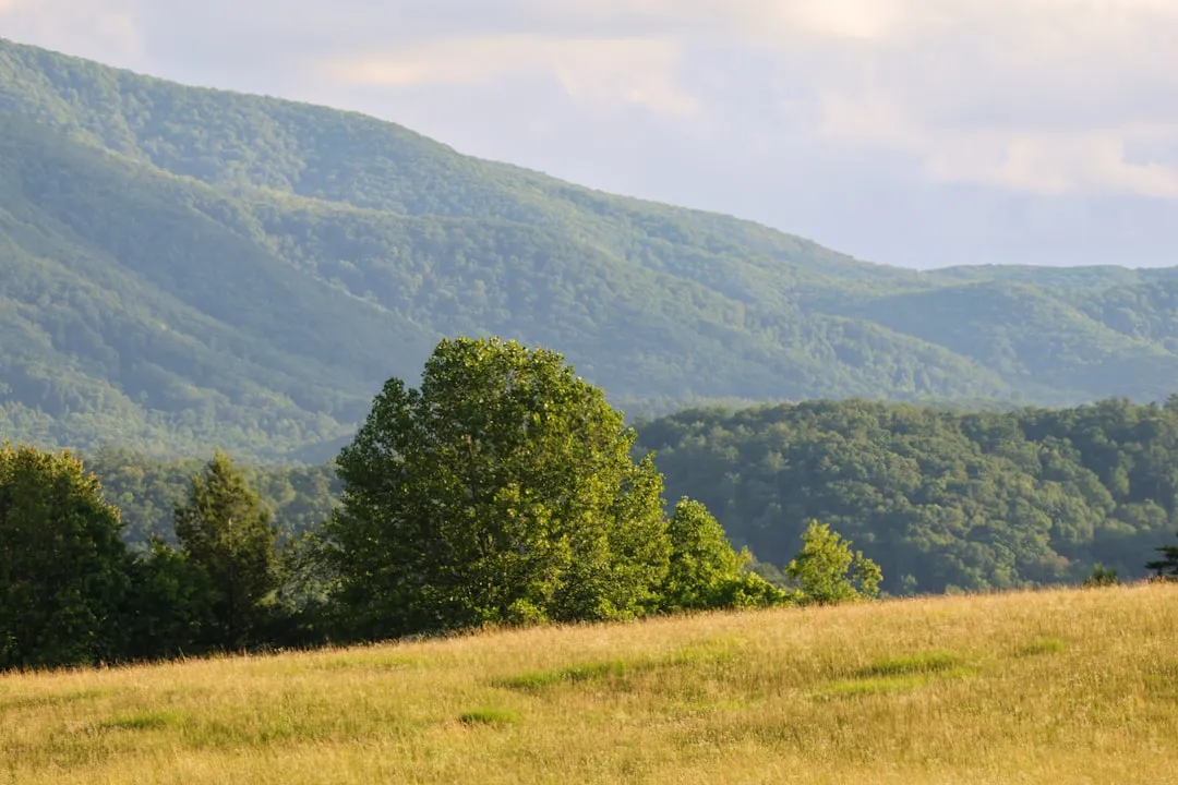 Cades Cove: One of the Most Historic Drives in America (Image Credits: Unsplash)
