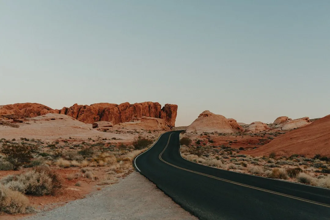 The Takeaway (Image Credits: Unsplash)