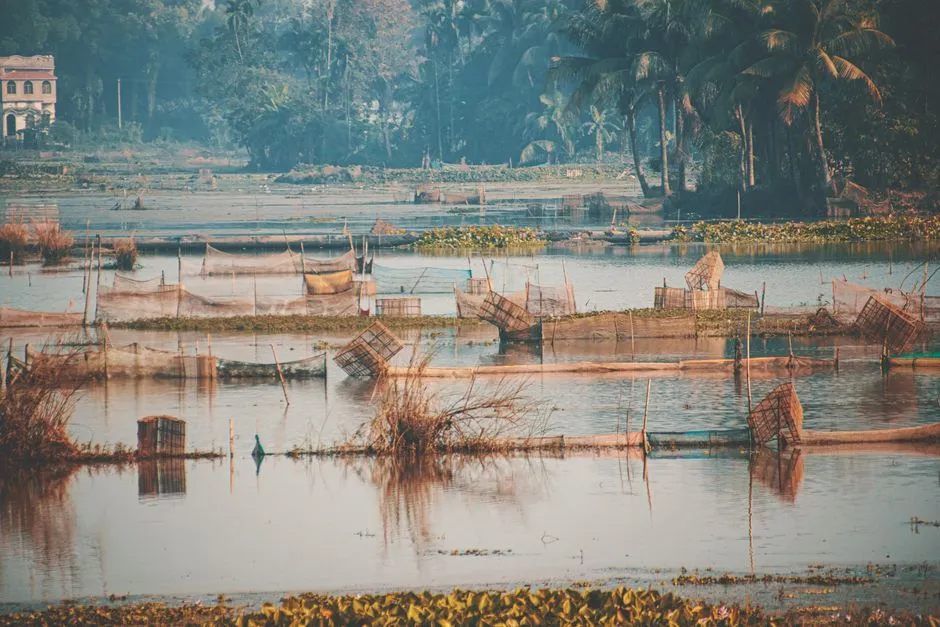 Wildlife and the Backwater Ecosystem (Image Credits: Pexels)
