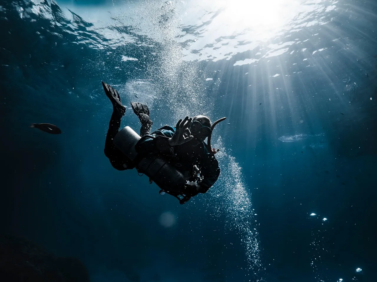 The Red Sea, Egypt: Clarity That Has to Be Seen to Be Believed (Image Credits: Pixabay)