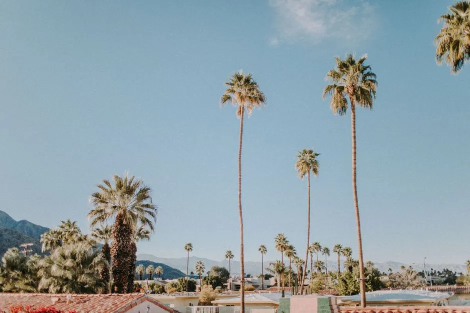 Inclusive, Welcoming, and Deeply Californian (Image Credits: Pexels)