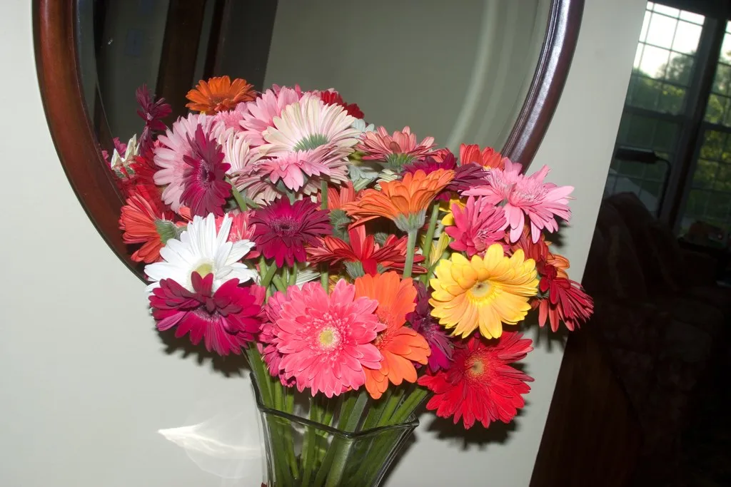 Fresh Flowers Have a Very Short Window of Perfection (Twinkletoes61, Flickr, CC BY 2.0)
