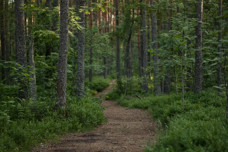 A Practice Rooted in Necessity (Image Credits: Pexels)