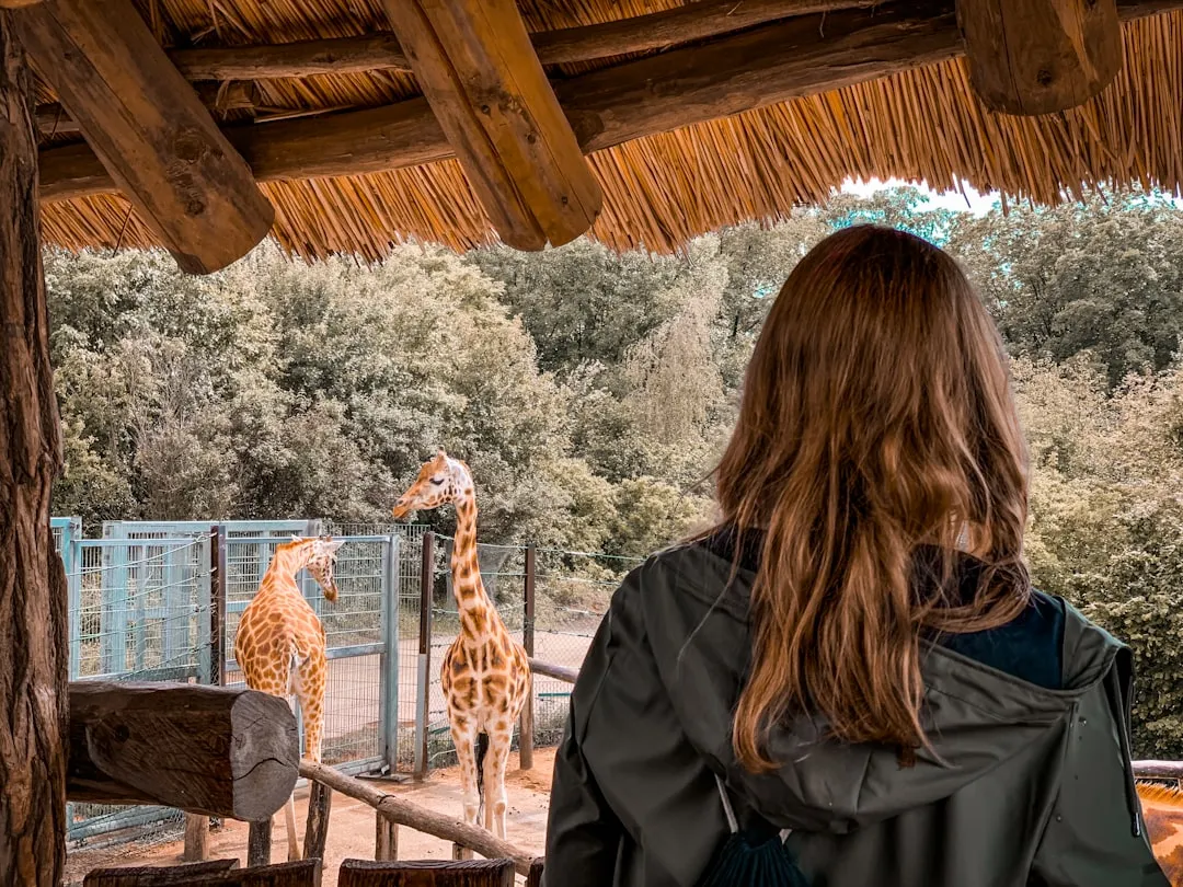 Keeper Talks Are the Clearest Signal of Animal Activity (Image Credits: Unsplash)