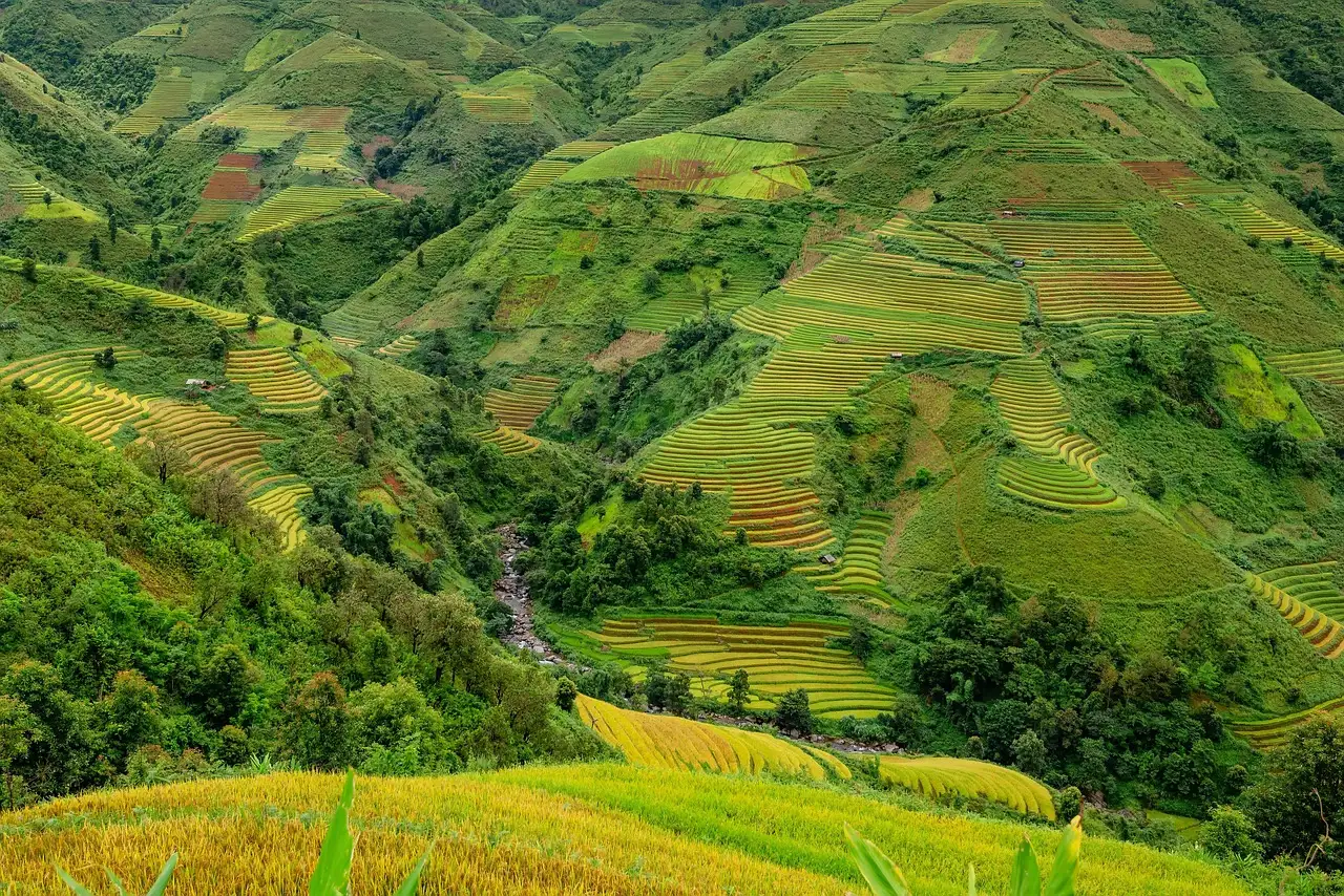 5. Pupuan Rice Terraces, Northwest Bali: Where the Land Meets the Sea (Image Credits: Pixabay)