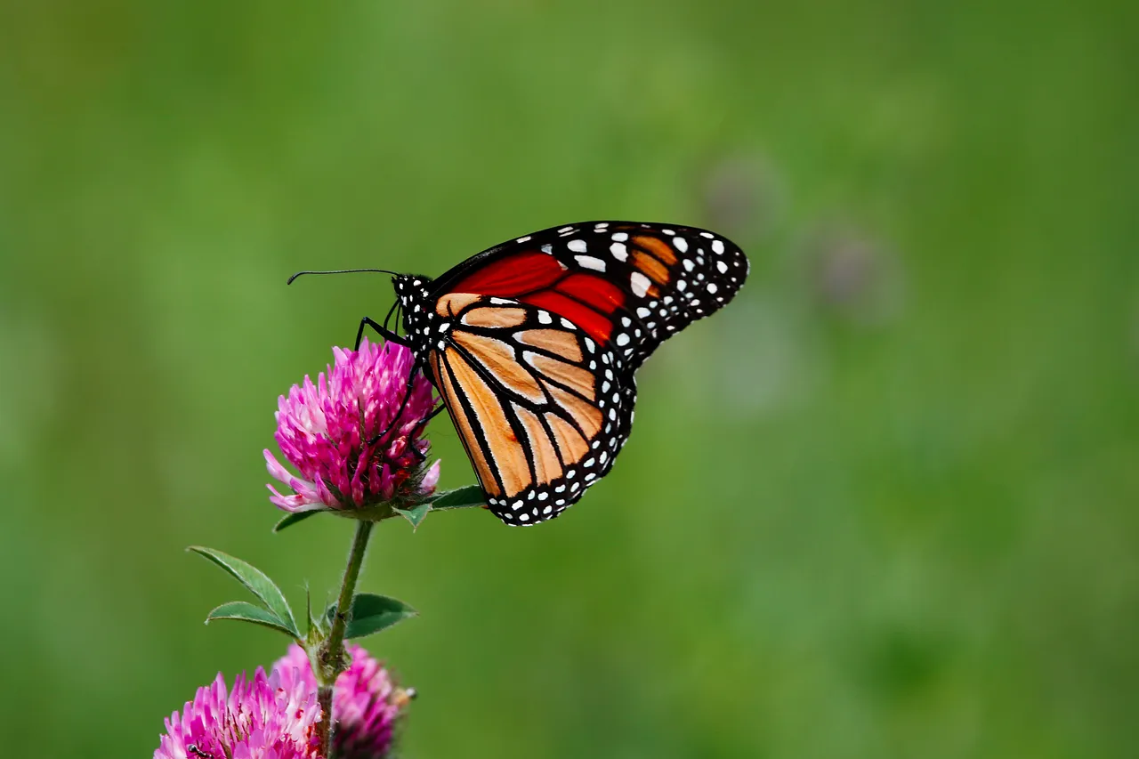 A Note on Timing (Image Credits: Pixabay)