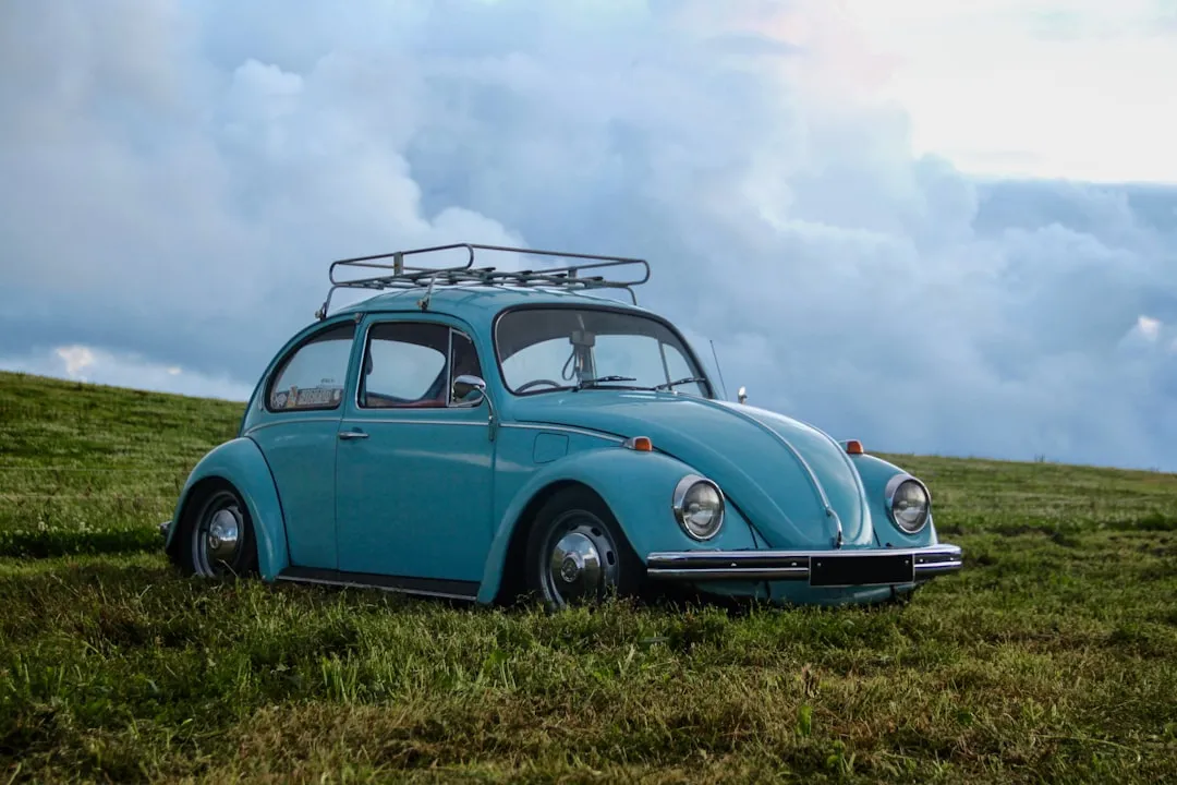 2. Punch Buggy (Slug Bug) (Image Credits: Unsplash)