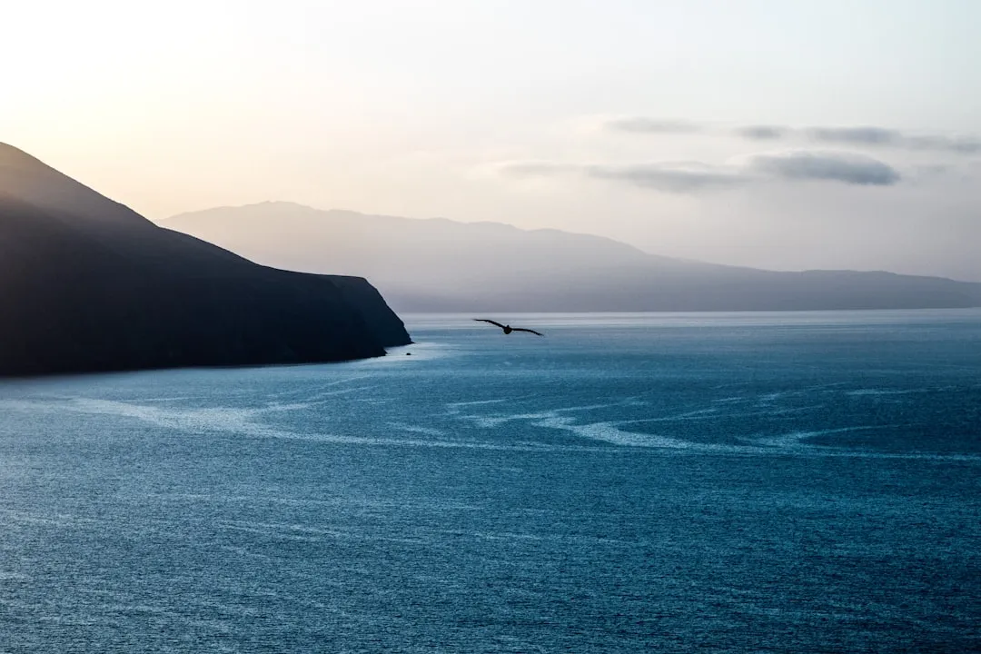 Three Airlines That Consistently Break the $400 Barrier (Image Credits: Unsplash)