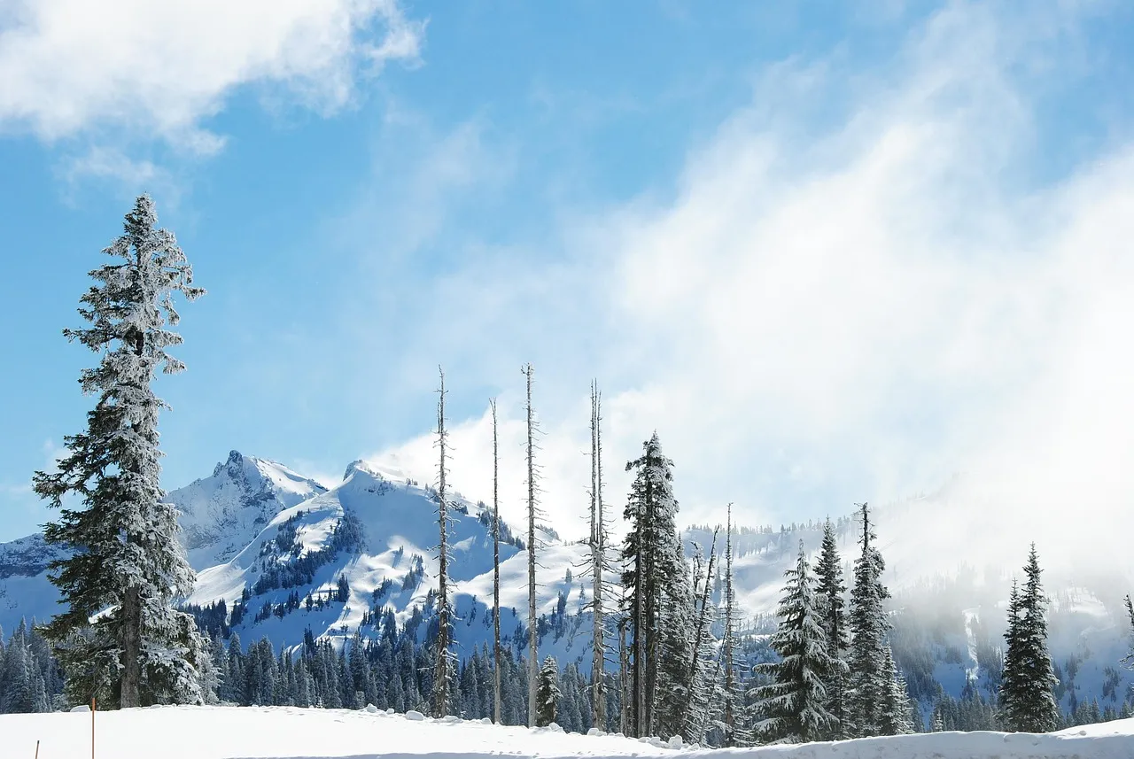 High Rock Lookout, Mt. Baker-Snoqualmie National Forest, Washington (Image Credits: Pixabay)