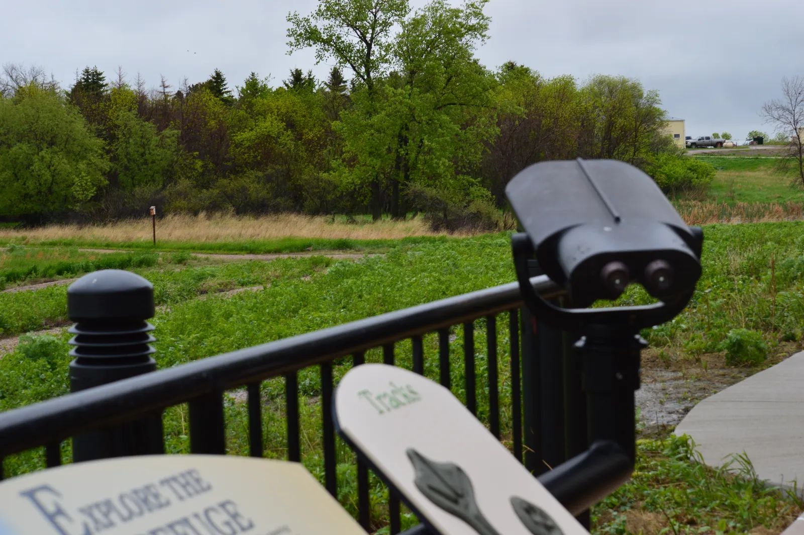 Use the Right Magnification for the Environment (Binoculars for viewing wildlife, Public domain)