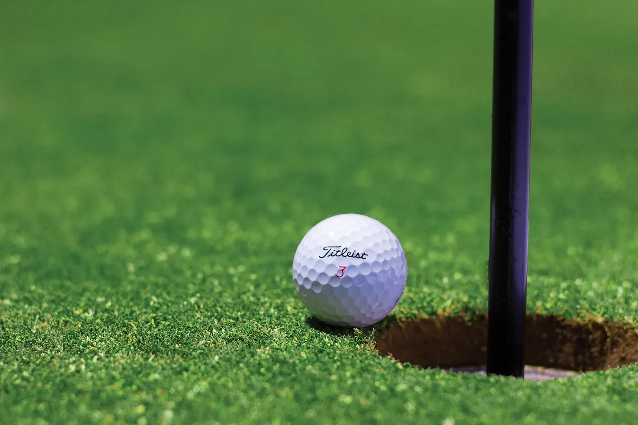 Don't Blame the Caddie for a Bad Shot (Image Credits: Pixabay)