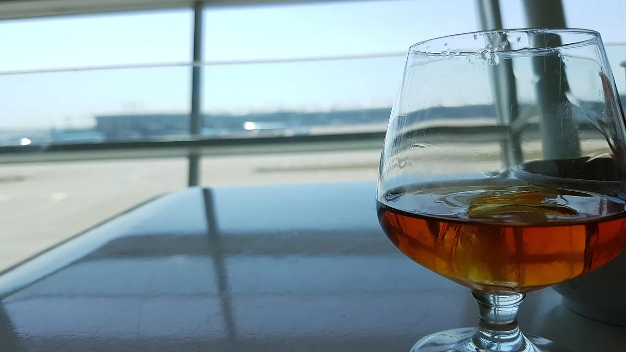 Reaching for a Glass of Wine the Moment the Seat Belt Sign Goes Off (Image Credits: Pixabay)