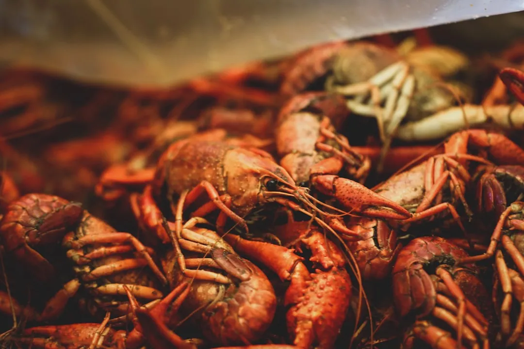 The Crawfish Capital of the World (Image Credits: Unsplash)