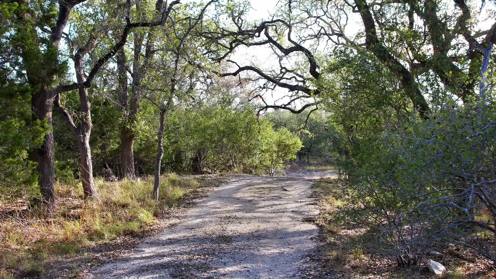Honey Creek State Park: The Peninsula Everyone Should Walk (By Larry D. Moore, CC BY 4.0)