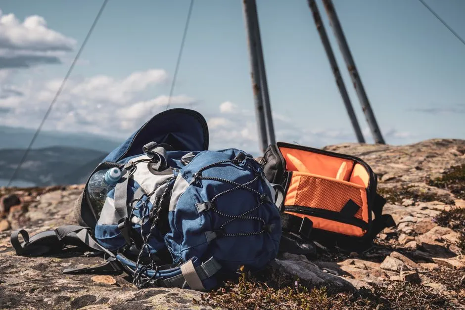 Sizing Changes More Than Comfort, It Changes Your Water Math (Image Credits: Pexels)