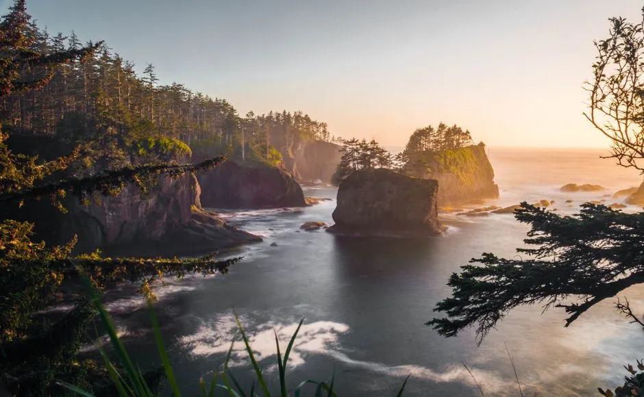 Quinault Canyon, the Deepest of the Local Trio (Image Credits: Pexels)