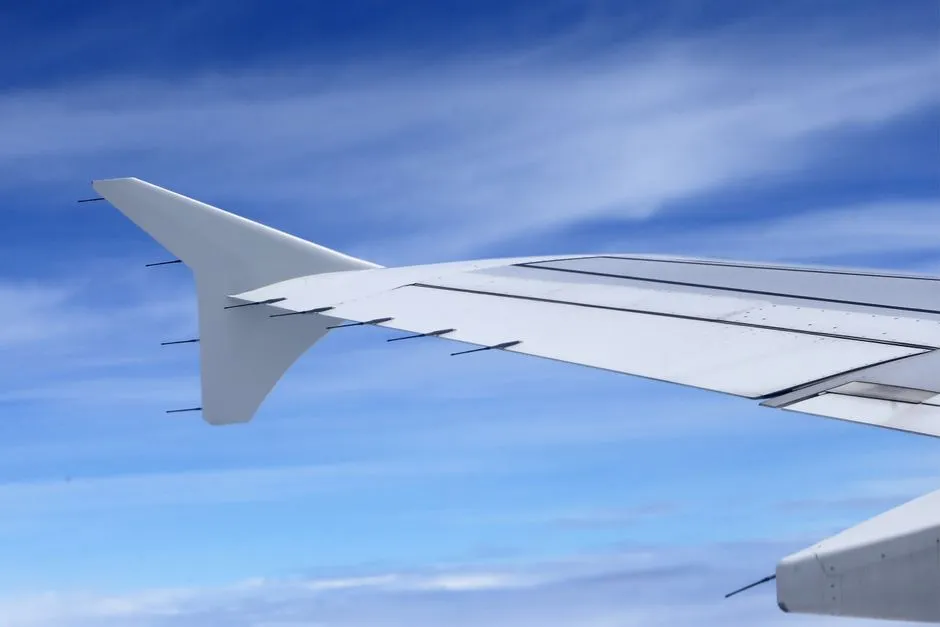 The Wing Hooks You Can See From the Window Seat (Image Credits: Pexels)