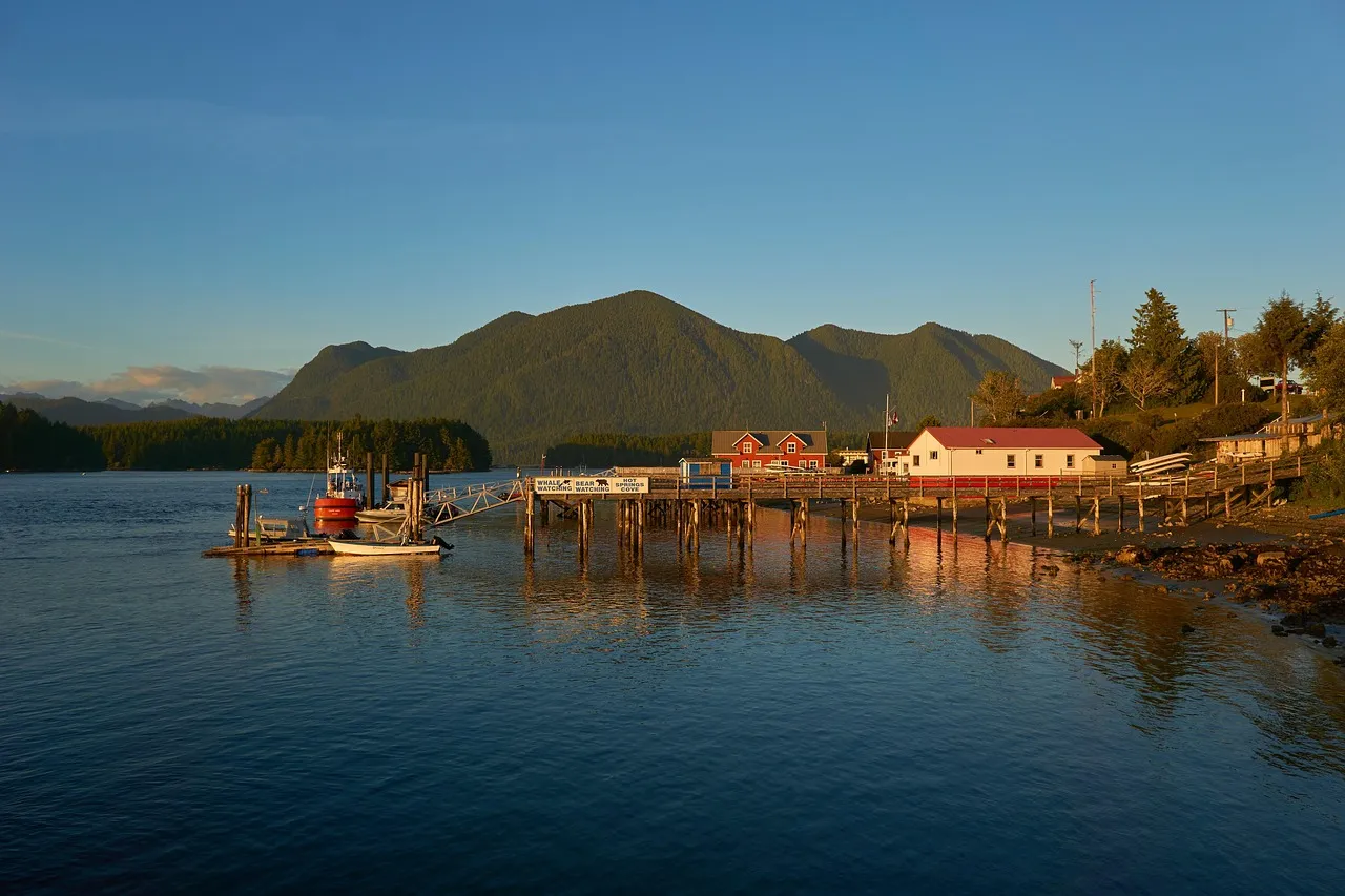 Tofino, British Columbia: The Rainforest Retreat That Crosses the Border (Image Credits: Pixabay)